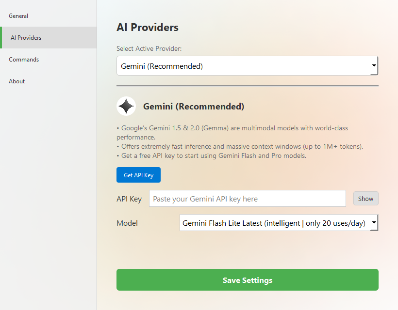 AI Providers settings with Gemini selected, an API key field and a model list